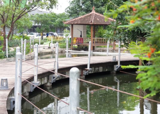 Area Jungle Pond