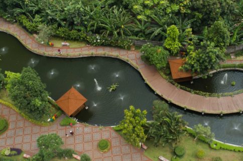Area Jungle Pond