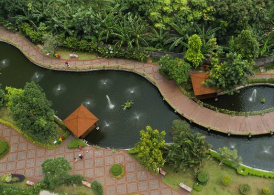 Area Jungle Pond